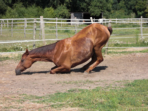largo