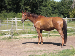 Largo