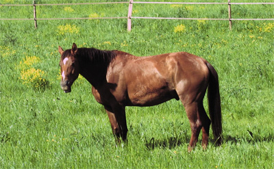 mai 2008