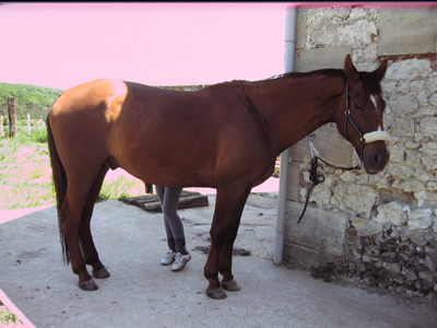 profil mai 2008