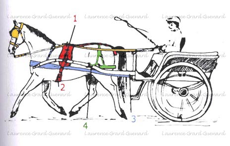 2 roues