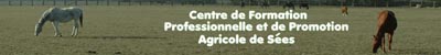 cfppa sees