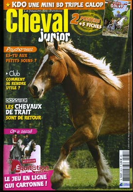 cheval junior avril 2008