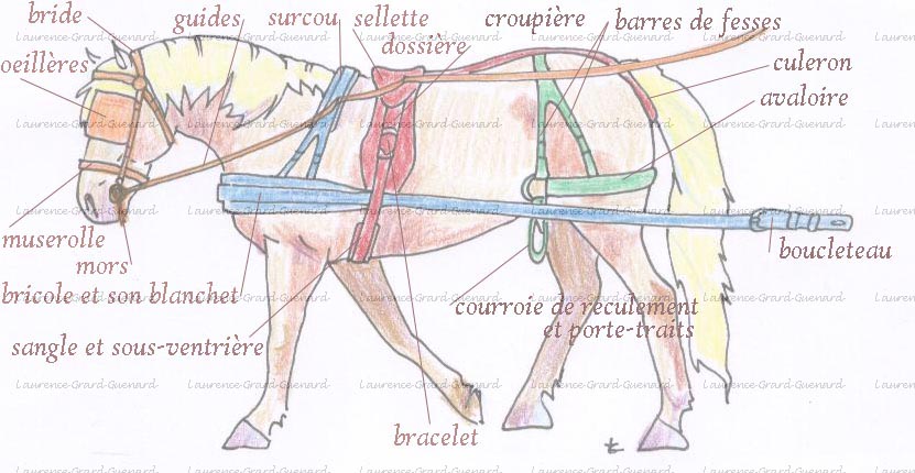harnais classique