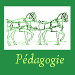 P�dagogie Equitation & Attelage