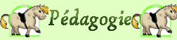 p&eacute;dagogie
